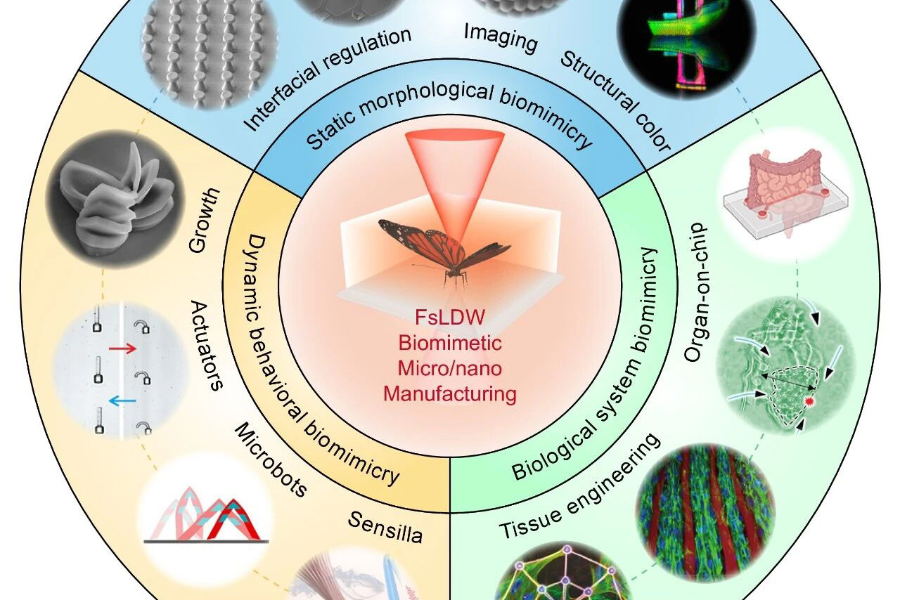 Printing nature: evolving biomimicry with femtosecond laser direct writing